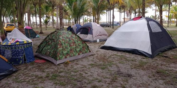 51669654-efb1-4f29-92f2-e230e8052908