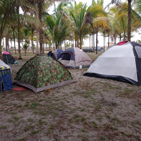 51669654-efb1-4f29-92f2-e230e8052908